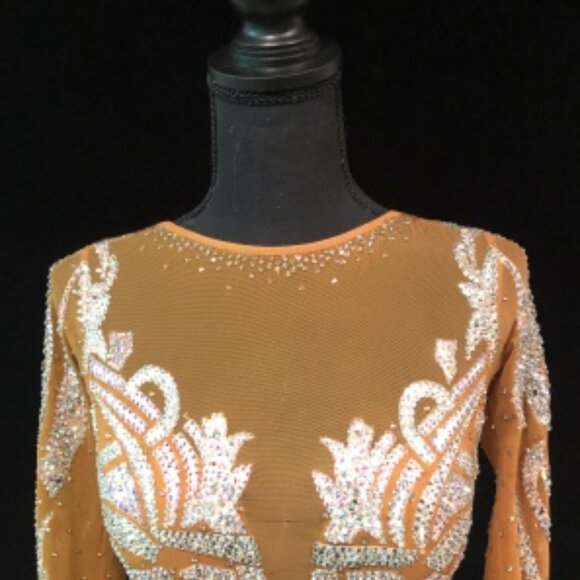 White Swan Smooth Couture Ballroom or Pageant Gown, Swarovski AB, Dore Designs - Picture 7 of 10